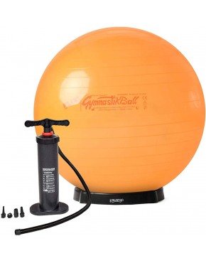 Original Pezzi® Gymnastikball STANDARD Fluo orange 65 cm mit Pumpe & Ballschale -